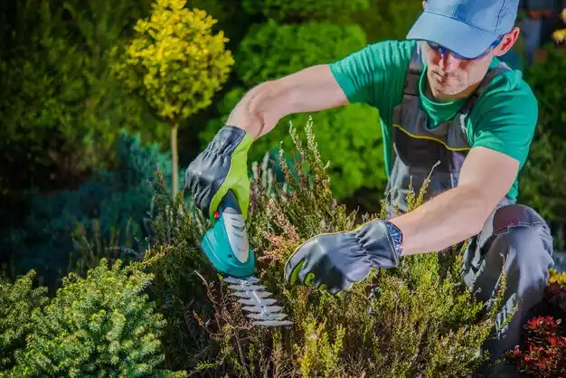 landscaping services Point Place